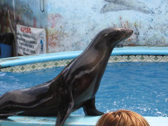 Aquário de Mazatlán